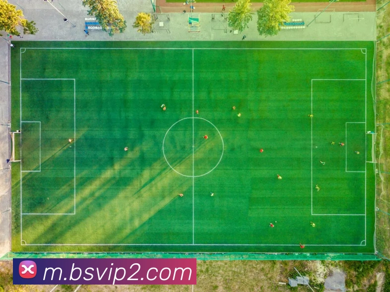 App Interface Preview